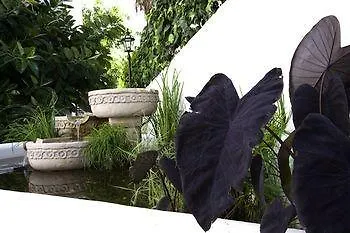 Hotel Ácora Ibiza Santa Eulalia del Río 3*,